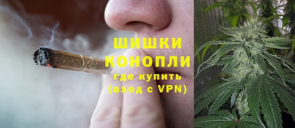 прущая мука Алзамай