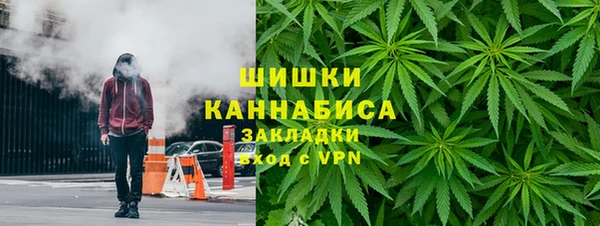 сатива Алексеевка
