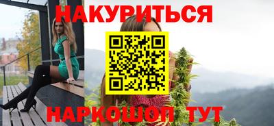 индика Будённовск