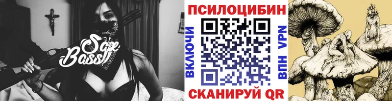 Галлюциногенные грибы Cubensis наркошоп Бердск