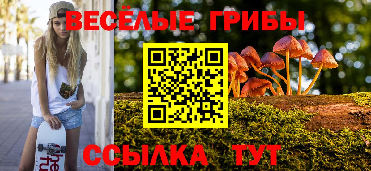 Галлюциногенные грибы мицелий  наркошоп  Бердск  Вход с VPN  Галлюциногенные грибы GOLDEN TEACHER 