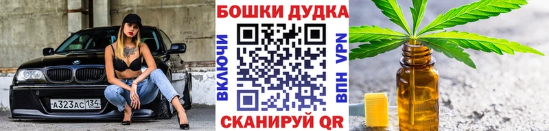 Канабис марихуана  наркотики  hydra   Бердск 