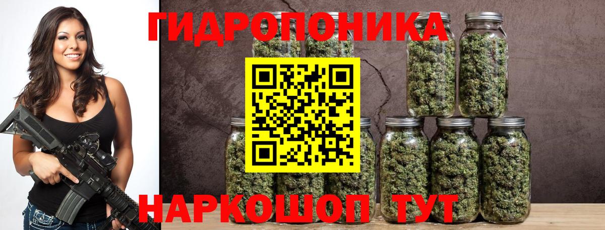 Бердск  Бошки Шишки VHQ  Вход с VPN  Канабис план  Шишки марихуана Amnesia 